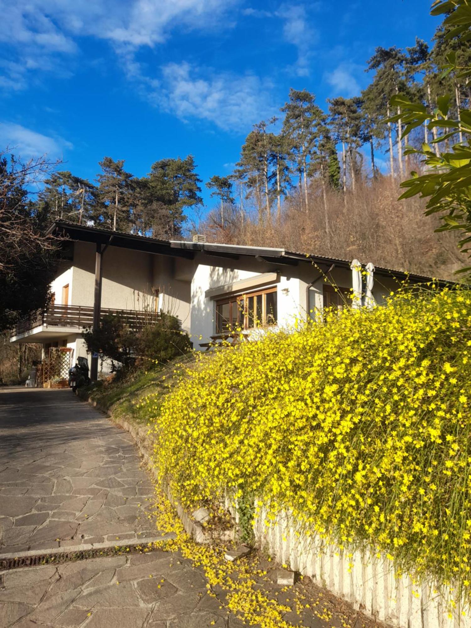 Marzola Bed & Breakfast Trento Exterior foto